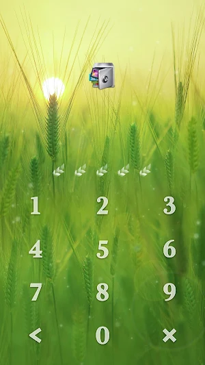 AppLock Live Theme Rye – Paid Theme Screenshot 1