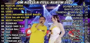 PANTUN JANDA DIFARINA INDRA Screenshot 0