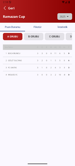FM Lig Screenshot 2