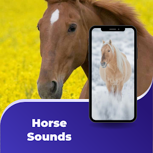 Horse Sounds - Horse Wallpaper Screenshot 0