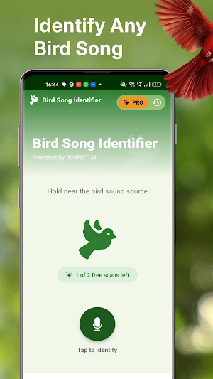Bird Song Identifier Screenshot 2