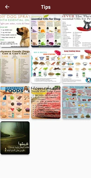 homemade dog food recipe Screenshot 2