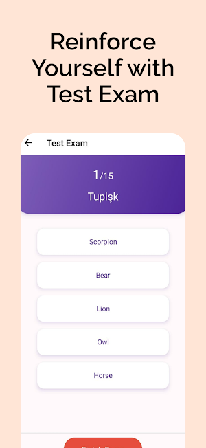 Learning Kurdish Screenshot 3