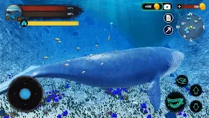 The Blue Whale Screenshot 3