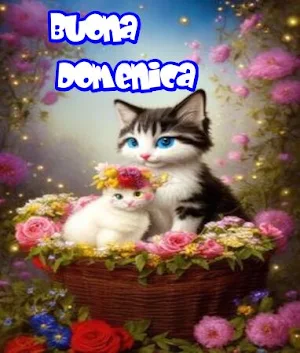Buona Domenica Screenshot 0