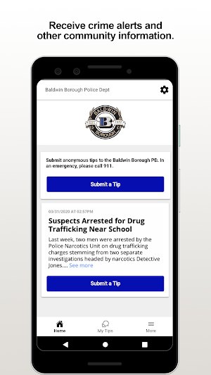 Baldwin Borough PD Screenshot 0