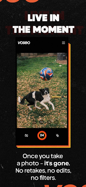 Voseo: Every photo counts Screenshot 3