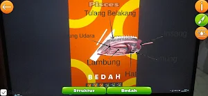 Vertebpedia Screenshot 3