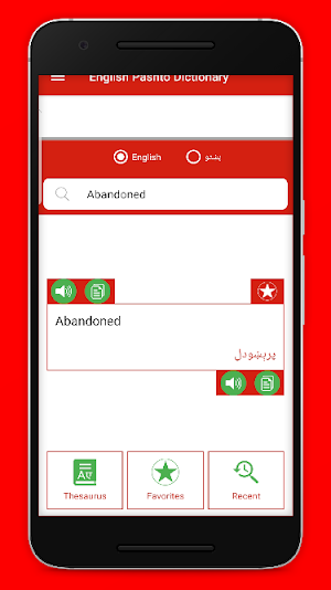 English Pashto Offline Dictionary & Thesaurus Screenshot 2
