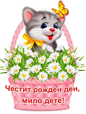Честит Рожден ден Картички Screenshot 2