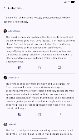 Bible Insight Screenshot 1