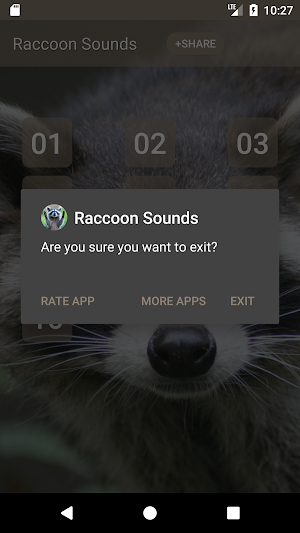 Raccoon Sounds Screenshot 2