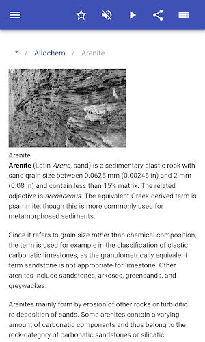 Sedimentary rocks Screenshot 2