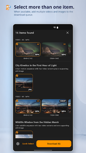 Hams: Video & Image Downloader Screenshot 2