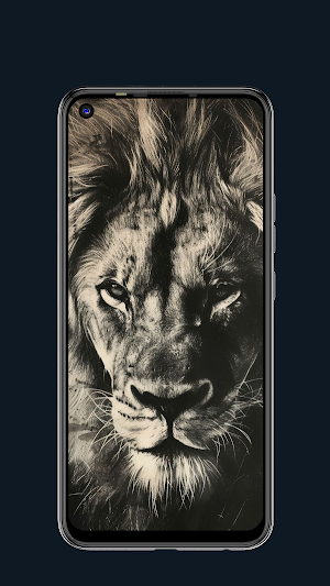 Lion Wallpapers HD 4K Screenshot 0