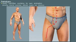 Easy Acupuncture 3D -FULL screenshot 5
