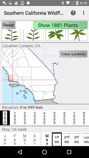 South California Wildflowers Screenshot 1