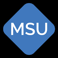 Mobile Security User
