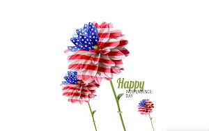 Independence Day Screenshot 1