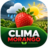 Clima Morango