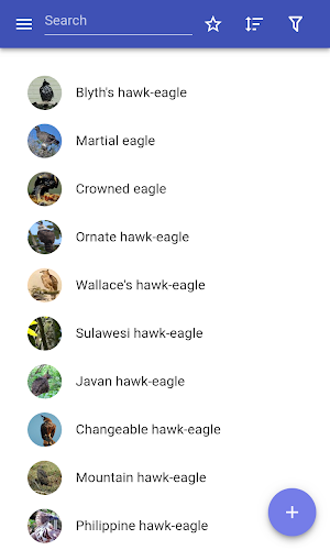 Hawks Screenshot 0