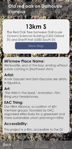 50 Things: An Art Adventure Screenshot 1
