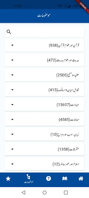 Urdu Fatwa Screenshot 3