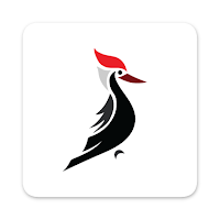 Woodpecker