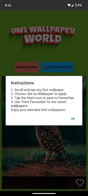 Owl Wallpaper World Screenshot 2