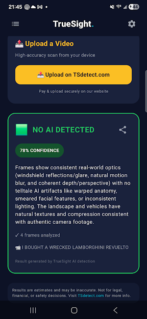 TrueSight - AI Video Detector Screenshot 0