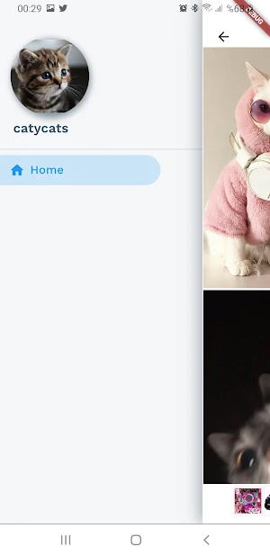 Caty Cats Screenshot 1