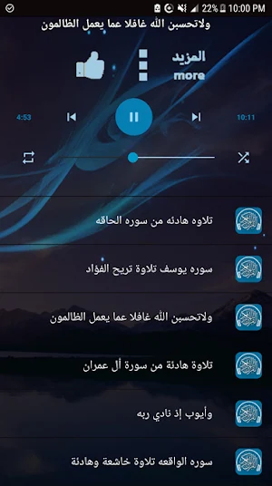 قرآن محمود فضل2021جميع التلاوات بدون نت I صوت واضح Screenshot 2