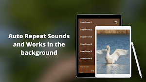 Swan Sounds Screenshot 2