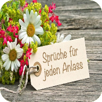 Sprüche für jeden Anlass