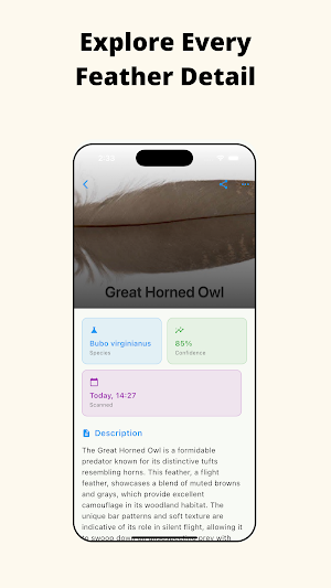 Feather Identifier: AI Scan Screenshot 3