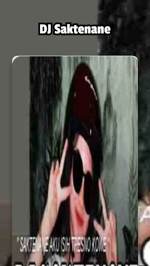 DJ Saktenane Screenshot 0