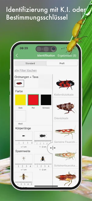 BUND Insekten Kosmos Screenshot 3