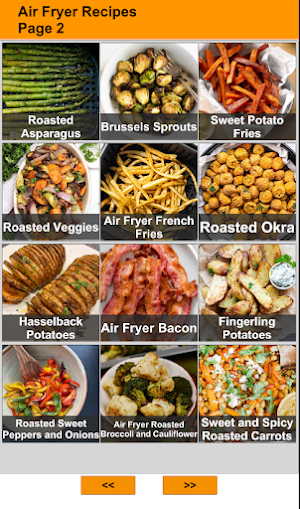 120 Air Fryer Recipes Screenshot 1