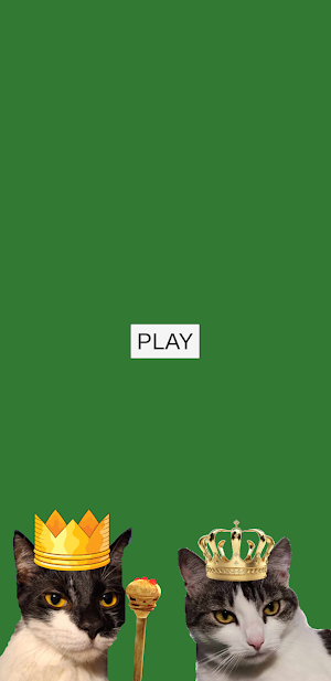 Solitaire & Baloote Screenshot 0