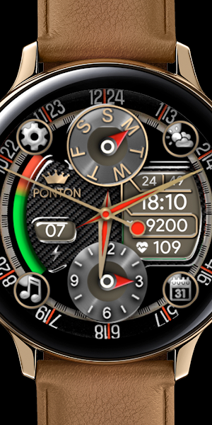 Special Crown Watch by PontON Screenshot 0