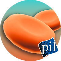 PI VR Human Body