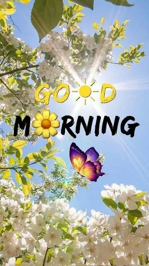 good morning images 2024 Screenshot 0