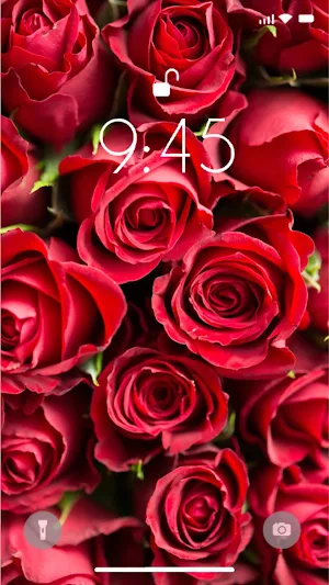 Love Wallpaper 4K Screenshot 3