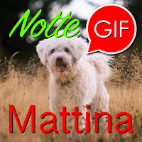 Italian Morning & Night Gifs