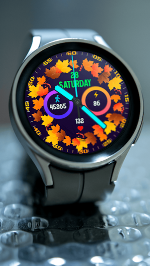 Plane Leaves Analog Watch Face Screenshot 0