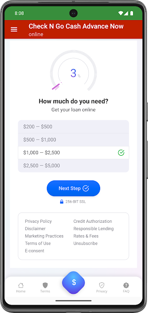 Check n go Cash Advance Now Screenshot 2