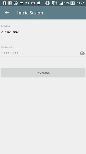DIEU Report Screenshot 1