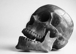 Skull wallpapers Screenshot 1
