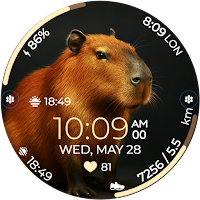 Chester Capybara
