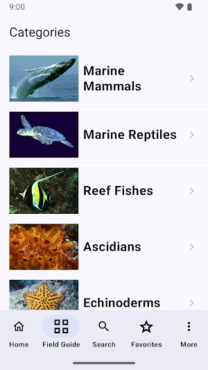Galápagos Marine Life Screenshot 0